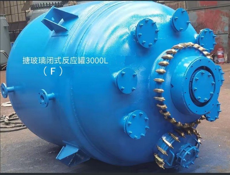 F3000L搪玻璃闭式反应釜 (2)